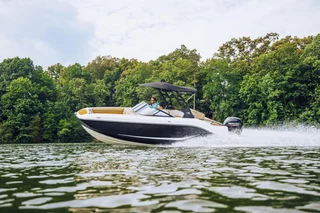 Bayliner D20