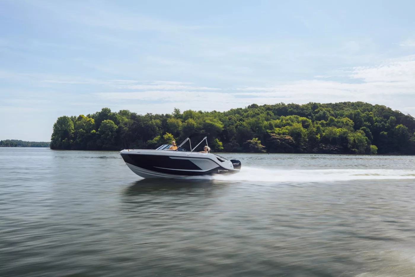 Bayliner D22
