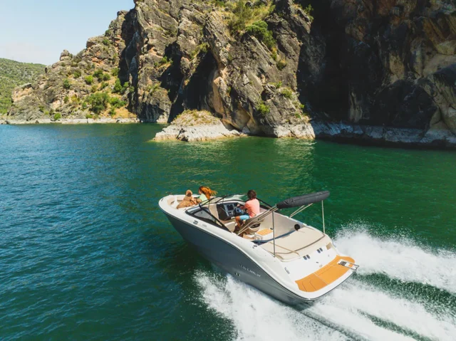 Bayliner V20I · Model overview